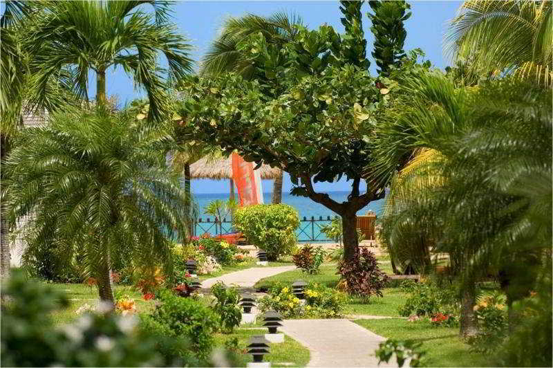 Coyaba Beach Resort St. George's Einrichtungen foto