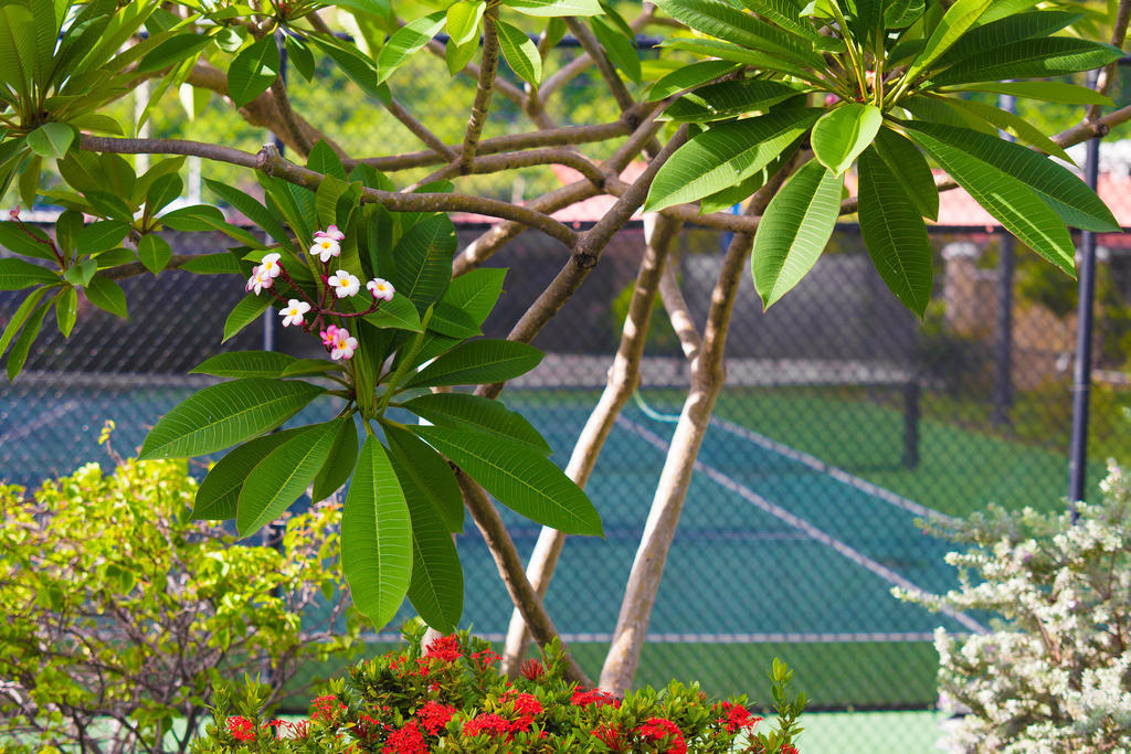 Coyaba Beach Resort St. George's Exterior foto